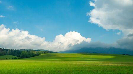 Green field and bright sun.