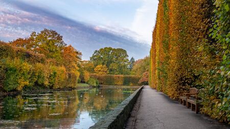 High hedge, clouds and its reflection in the pond at the Oliwa Park in the autumn scenery.