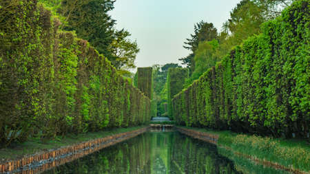 High hedge, clouds and its reflection in the pond at the Oliwa Park in the spring scenery.