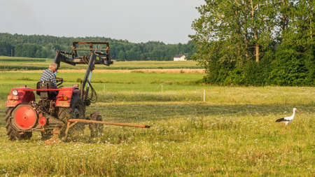 Tractor in the field is cutting the grass. In the background a stork.