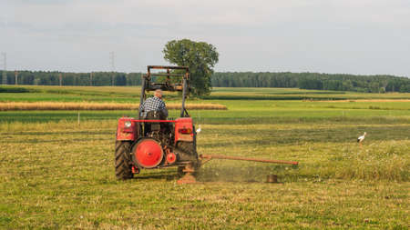 Tractor in the field is cutting the grass. In the background a stork.の写真素材