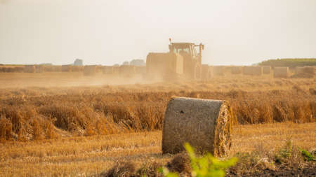 Tractor in a wheat field during harvestの写真素材