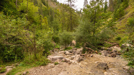 Homole gorge in Pieniny mountains, Polandの写真素材