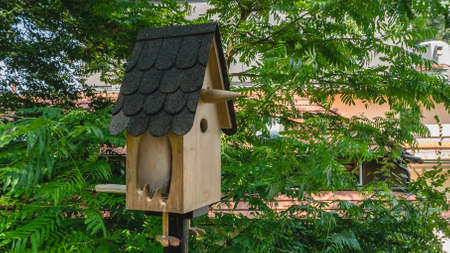 Fun bird feeder among green leaves.の写真素材