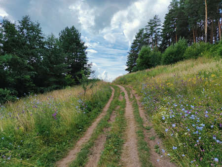road on the slope among the trees against the background of a beautiful blue sky with cloudsの写真素材