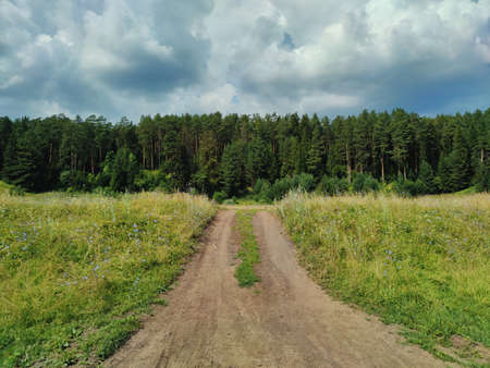 cloudy sky before rain over green forest