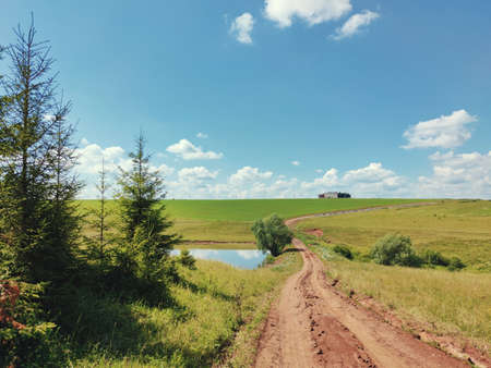 country road in a field near a lake on a background of blue sky on a sunny day