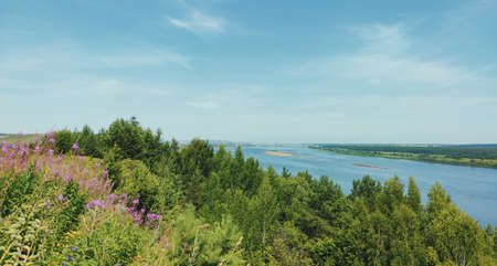 green slope with trees near the river on a sunny day