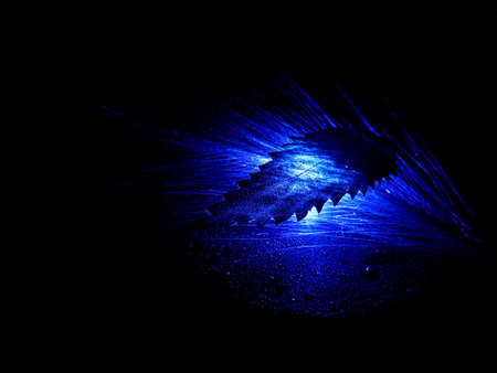 leaf and spikelet in blue highlight on the surface with drops of water in a creative photoの写真素材