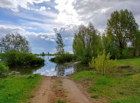 trees in water on a flooded riverbank on a sunny day against a blue sky with clouds