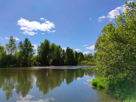 the shore of the pond is surrounded by green trees against a blue sky with clouds on a sunny day