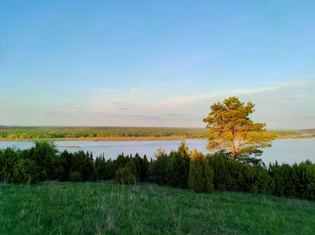 trees on top of a slope near the river in the rays of the evening sun against a beautiful sky