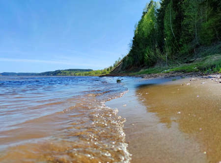 sandy riverbank near the forest against the blue sky on a sunny day