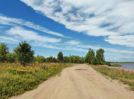 road near the bank of the river among the greenery of grass and trees on a sunny day against the backdrop of a blue sky with cloudsの写真素材