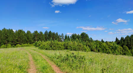 beautiful panoramic landscape in a field with a winding country road near a forest against a blue sky on a sunny dayの写真素材