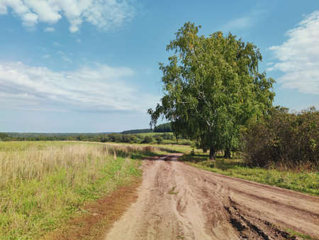 country road in a field near a birch on a background of a beautiful blue sky with cloudsの写真素材