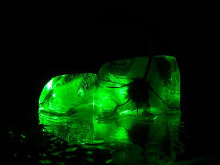piece of ice with frozen flower in green backlight in creative photographyの写真素材