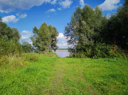 green glade near the trees near the coastline on a sunny day against the background of a blue sky...