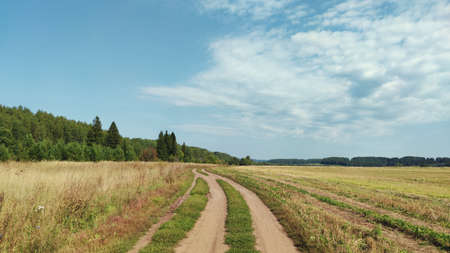 panoramic scene with a road in a field on the background of a forest and blue sky on a sunny dayの写真素材
