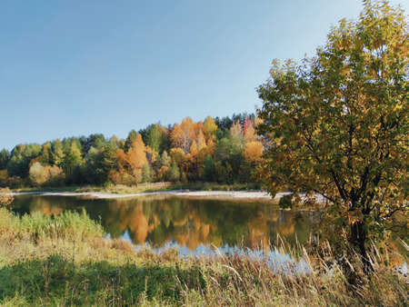 forest lake shore against the blue sky in the autumn landscape