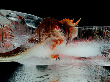 creative photo fantasy showing the passing era of dinosaurs