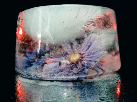 flower frozen in a piece of ice and illuminated in the dark in creative and abstract macro photographyの写真素材
