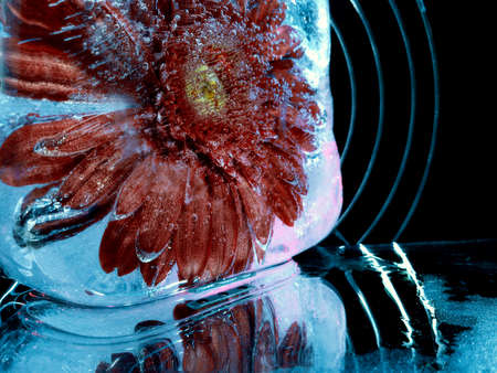 abstract photo of a flower frozen in a block of ice against the background of a metal lattice in the darkの写真素材