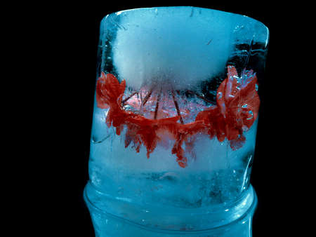 creative and abstract photo of a flower frozen in blue ice that resembles a space fantasy