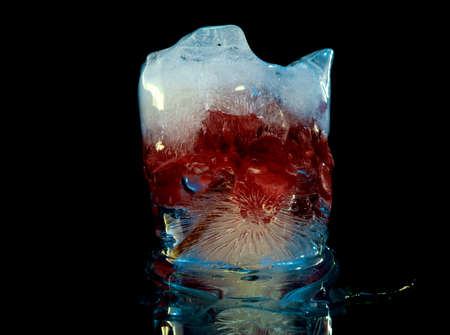 red flower frozen in a block of ice with a beautiful pattern of air bubbles in abstract macro photographyの写真素材