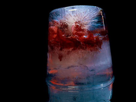 delicate red flowers frozen in cold ice in sensual abstract photography