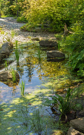 A break from the heat on a warm summer walk through the forest in British Columbia