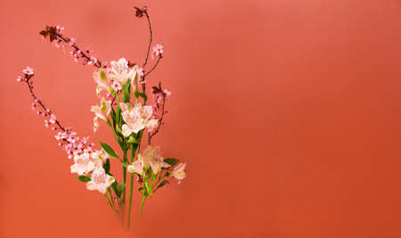 Ikebana without a visible vaseの写真素材