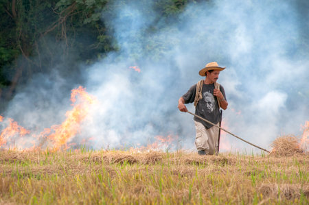 Farmer with T-shirt stamped with image of Albert Einstein working on the burning of a dry rice field. Tradition all the growing season. Huila. Colombia. April 21, 2008.のeditorial素材