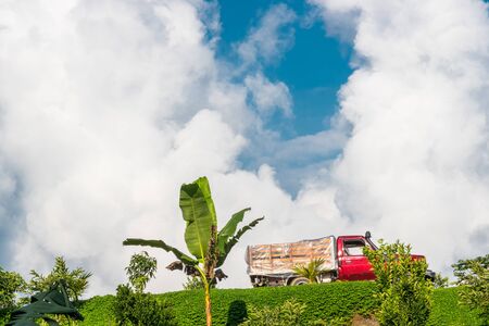 Red truck carrying cargo through a the sunny field and white clouds sky in Colombiaの写真素材