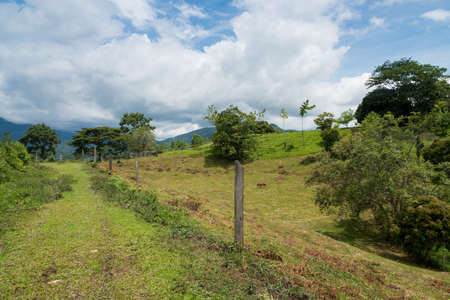 Dirt road between tropical forest and mountain with mist. Colombia.