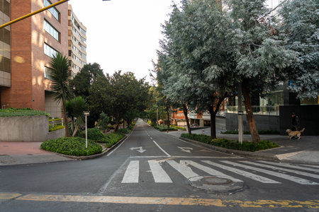 Woman with a mask crossing a street in the city of BogotÃ¡ who declared in quarantine. BogotÃ¡....