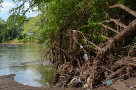 Roots with plastic trash from a fallen tree in a river in a tropical climate. Colombia.の写真素材