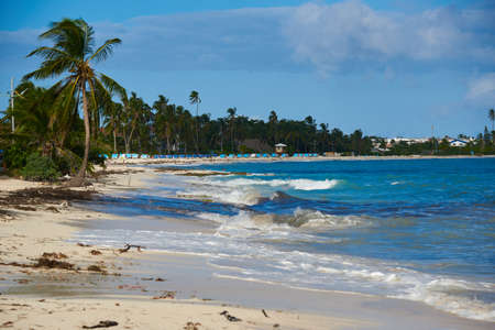 Seascape of a tourist beach with coconut trees and buildings in the background on the San Andres island. Caribbean Colombia.の写真素材