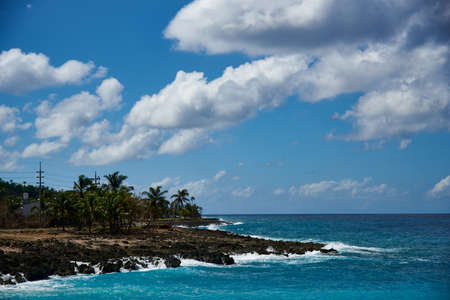 View of a rocky coastline with palm trees on the island of San Andres. Colombia.