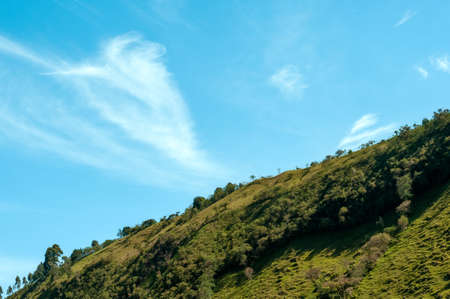 hill with vegetation and blue sky in a Colombian countrysideの写真素材