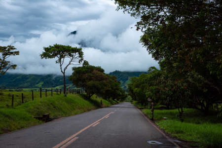 Road in the rainforest, Costa Rica, Central America, Central Americaの写真素材