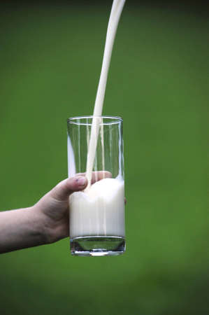 pouring milk in glass with green backgroundの写真素材