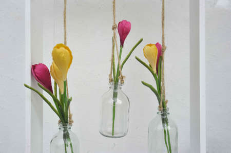 flowers in glasses hanging from ceilingの写真素材