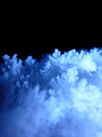 snow crystals on black backround