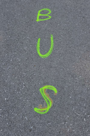 bus lane marking on the streetの写真素材