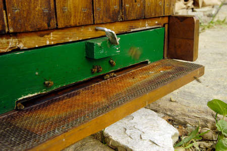 Beehive at a farm, outdoor, wooden