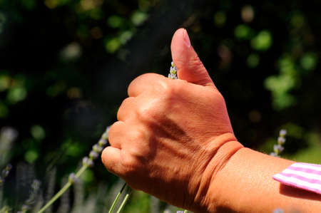 hand touching the flowering grass
