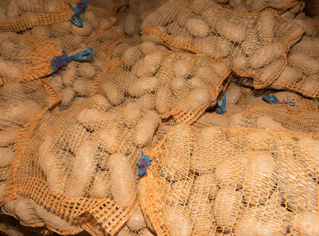 potatoes in bags ready to shipの写真素材