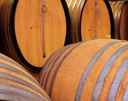 wooden barrels in wine cellar