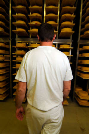 cheese maker in industrial food production